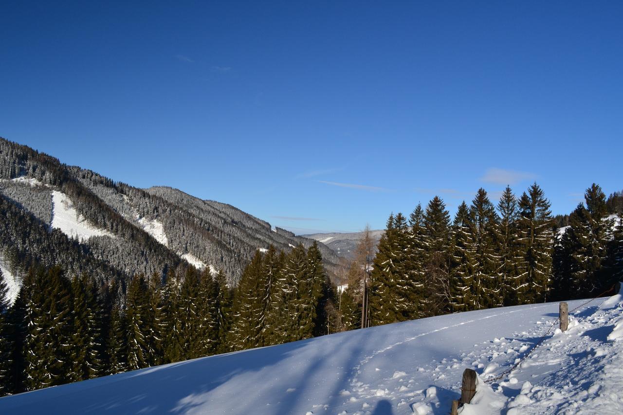Gasthof Oberer Gesslbauer Stanz Im Murztal Buitenkant foto
