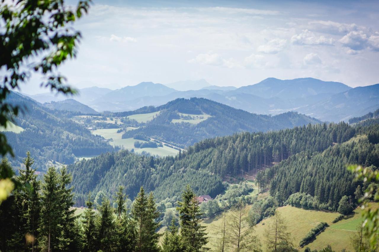 Gasthof Oberer Gesslbauer Stanz Im Murztal Buitenkant foto